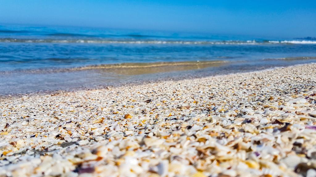 Summerland Beach Privilege Apartment Mamaia Eksteriør billede